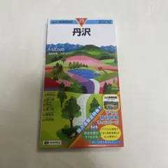 Item thumbnail for item 6a83b1f0-9661-4210-97ce-82a1e152622d