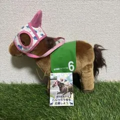 高知競馬のハルウララ号を応援しよう ぬいぐるみ タグ付き ハルウララ