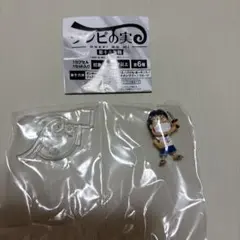 ワンピの実　ルフィ　第十六海戦