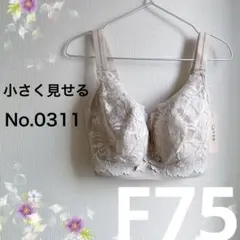 Item thumbnail for item 5452d07b-1210-4b60-833f-619df7c4b28d