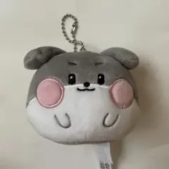 ゼロニ ゴニニ フェイスキーリング