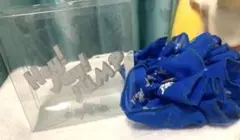 Item thumbnail for item 6fa94e1f-effe-4bf1-84c5-6214874d5ee3