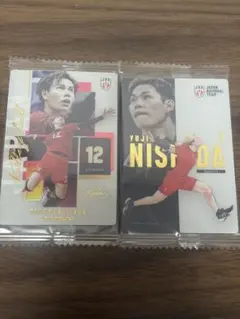バレーボール 日本代表 高橋藍 西田有志 カード 2種セット