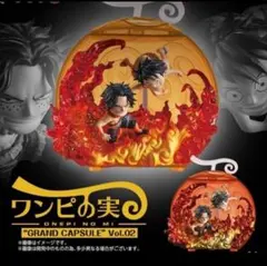 ワンピの実 GRAND CAPSULE Vol.02
