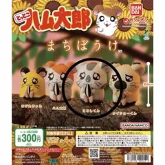 とっとこハム太郎　まちぼうけ こうしくん