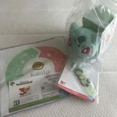 ポケモン30th 一番くじ フシギダネ、ヒトカゲぬいぐるみ G賞 I賞