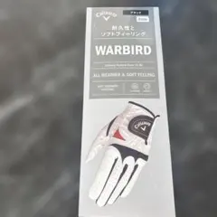 ゴルフグローブ 22