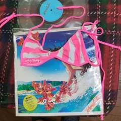 桑田佳祐 波乗りジョニー レコード　おまけ付き