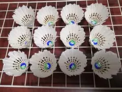 Item thumbnail for item b17e8cbb-ae51-4fdc-901e-8f67a163bdc7