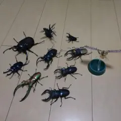 生き物大図鑑　まとめ売り　バラ売り可能