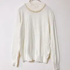 アースミュージックアンドエコロジー ニット ハイネック 長袖 無地 M 外出