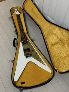 2026年最新】ibanez ハードケースの人気アイテム - メルカリ