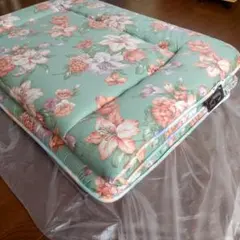 Item thumbnail for item cadbe4dd-f639-4da9-a37a-f7eda043f606