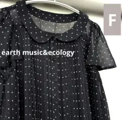 【美品】earth music&ecologyフレアーシフォンプリーツブラウスのサムネイル