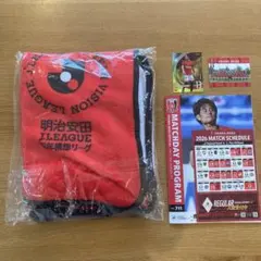 2/28 浦和レッズVS鹿島戦 マッチデープログラム ブランケット