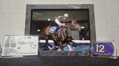 50枚限定 シリアル競馬 ホースレーシングカード フォーエバーヤング