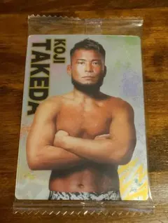 【複数枚割引あり】武田光司 RIZIN ライジン カード(120)