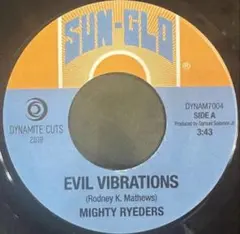 2026年最新】evil vibrationsの人気アイテム - メルカリ