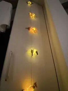 動物のライト