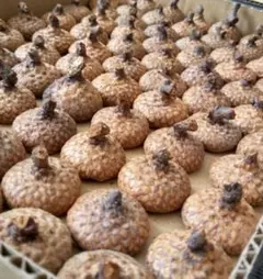 はひふへふぉ様 リクエスト 2点 まとめ商品