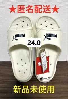 プーマ　PUMA ダイブキャット　シャワーサンダル　サンダル　24 白　ホワイト