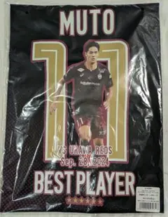 Item thumbnail for item 4e799a25-f1ba-4241-b077-2a91726b2acb