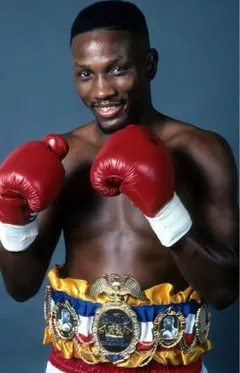 パーネルウィテカー33試合