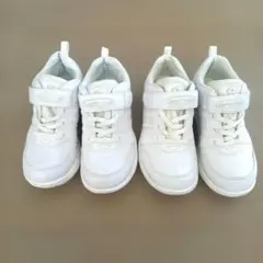 Item thumbnail for item 53da2d39-9980-4a65-9aa1-3b6d8dd6fcfc