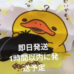 サンエックスユニバース カラフル！バラエティーコレクション かものはしかも。