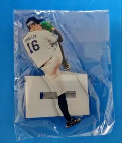 Item thumbnail for item b42fb26e-eb9b-4051-a69d-d6978e77dc71