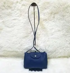 【美品・フランス製】LONGCHAMP ルプリアージュ・キュイール レザー