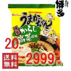 博多っ子 超定番 うまかっちゃん 辛子高菜 とんこつ味 人気のサムネイル
