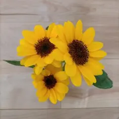 まるごう様 リクエスト 2点 まとめ商品