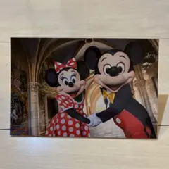 東京ディズニーリゾート ミッキー　ミニー ポストカード