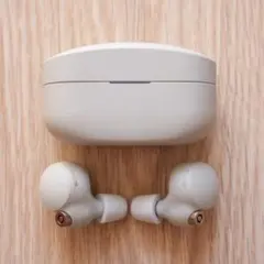 ソニー WF-1000XM4 完全ワイヤレスイヤホン プラチナシルバー