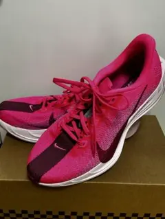 NIKE Pegasus Plus ペガサスプラス サイズ6.5