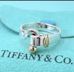 2025年最新】ティファニー フックアイの人気アイテム - メルカリ