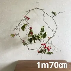 サンキライ　蔓　枝物　クリスマス　花材　ドライフラワー　赤い実　リース　壁飾り