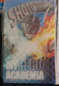 Item thumbnail for item f8536e92-5345-48ed-b832-7eef1c2447c1