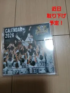 Item thumbnail for item bc082397-8b49-416f-bfe7-9964f38aaf52