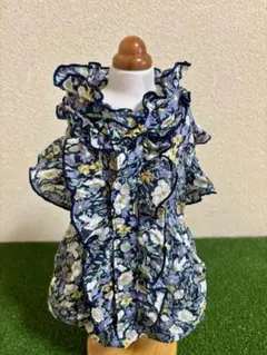 Item thumbnail for item 82a1867a-fcd2-40c1-ac7b-ec5890bdca9d