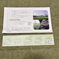 メトログリーン東陽町　ゴルフ練習場　平日のみ　入場無料券5枚　東京メトロ株主優待のサムネイル