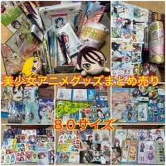 美少女萌え系 キャラクターグッズまとめ売り オマケあり 80サイズの箱