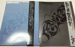 Item thumbnail for item 6d3facbc-a92e-4c27-bd89-ac918423c9cd