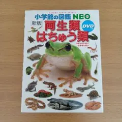 両生類はちゅう類　小学館の図鑑NEO