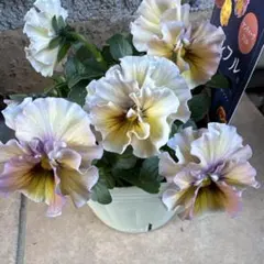 べーしーる様 リクエスト 2点 まとめ商品