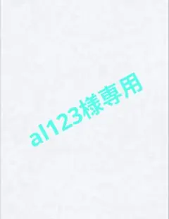 al123様 リクエスト 4点 まとめ商品