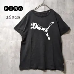 PUMAプーマ/半袖Tシャツ/キッズ150cm/ブラック