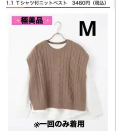 ★ほぼ新品★ハニーズ　HoneysＴシャツ付きニットベスト　モカブラウン　M