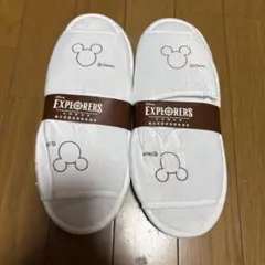 Item thumbnail for item ecd7483f-e7d1-41ff-94b4-07221d1d58ea